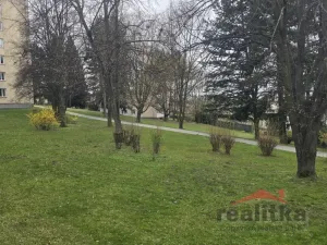 Pronájem bytu 3+1, Opava - Předměstí, Dostojevského, 120 m2