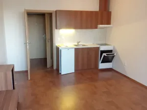 Pronájem bytu 1+kk, Olomouc, Novosadský dvůr, 33 m2