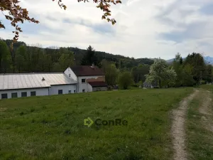 Prodej pozemku pro bydlení, Pulečný - Klíčnov, 875 m2