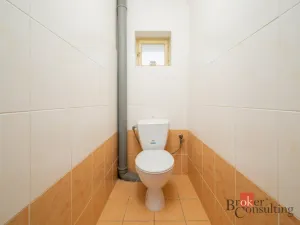 Prodej rodinného domu, Boseň - Mužský, 165 m2