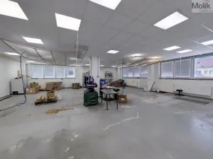 Pronájem výrobních prostor, Teplice, Pražská, 1185 m2