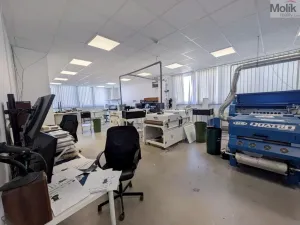 Pronájem výrobních prostor, Teplice, Pražská, 1185 m2