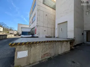 Pronájem výrobních prostor, Teplice, Pražská, 1185 m2