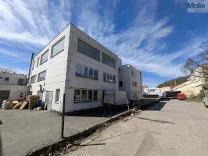Pronájem výrobních prostor, Teplice, Pražská, 1185 m2