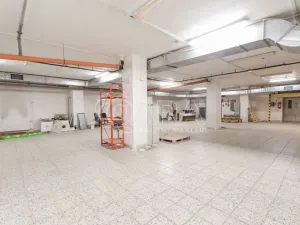 Pronájem skladu, Praha - Chodov, Roztylská, 350 m2