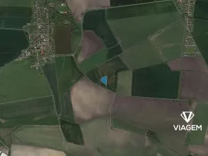 Prodej podílu pole, Chudíř, 1305 m2