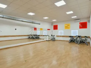 Prodej komerční nemovitosti, Praha - Háje, Květnového vítězství, 1285 m2