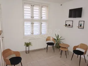 Pronájem komerční nemovitosti, Ústí nad Orlicí, Havlíčkova, 45 m2
