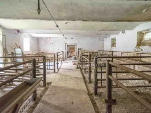 Prodej zemědělské usedlosti, Stránka, 440 m2