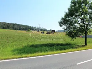 Prodej pozemku pro bydlení, Obory, 41779 m2