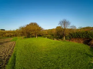 Prodej pozemku pro bydlení, Pitín, 768 m2