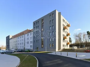 Pronájem bytu 1+kk, Benešov, Suchánkova, 33 m2