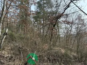 Prodej lesa, Hořovičky - Hokov, 43588 m2