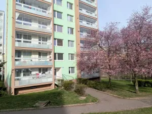 Pronájem bytu 2+kk, Most, Josefa Ševčíka, 40 m2