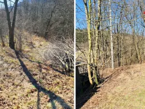 Prodej pozemku pro bydlení, Březová nad Svitavou, 2360 m2