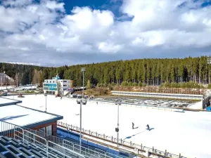 Prodej rodinného domu, Nové Město na Moravě, 136 m2