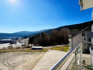 Prodej apartmánu, Dolní Morava, 41 m2