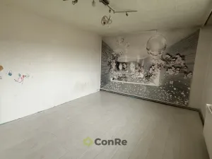 Pronájem bytu 4+1, Doudleby nad Orlicí, U Parku, 94 m2