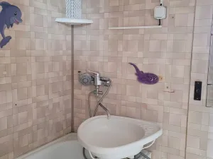 Prodej bytu 2+1, Bystřice pod Hostýnem, Sídliště, 50 m2