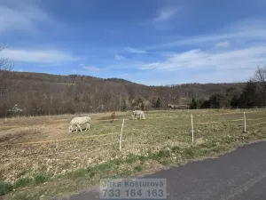 Prodej pozemku pro bydlení, Hošťálkovy - Vraclávek, 1505 m2