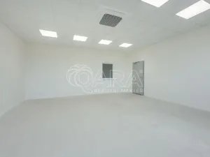 Pronájem skladu, Divišov, 2398 m2