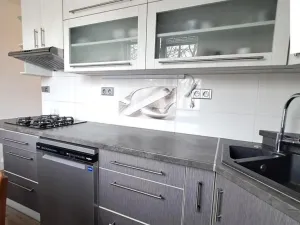 Prodej bytu 3+1, Ústí nad Orlicí, Zborovská, 69 m2