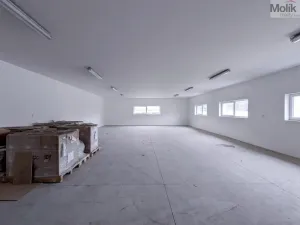 Pronájem skladu, Teplice, Pražská, 200 m2