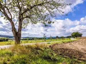 Prodej pozemku pro bydlení, Milínov, 712 m2