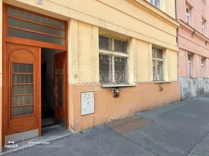 Prodej bytu 2+kk, Praha - Vinohrady, Rejskova, 39 m2