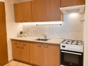 Pronájem bytu 2+1, Praha - Nusle, Dačického, 46 m2