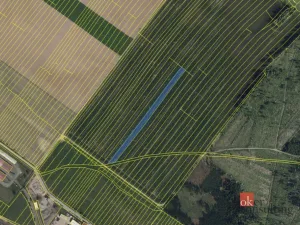 Prodej pole, Vlkov, 16385 m2