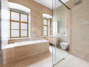 Pronájem bytu 3+kk, Praha - Nové Město, Truhlářská, 186 m2