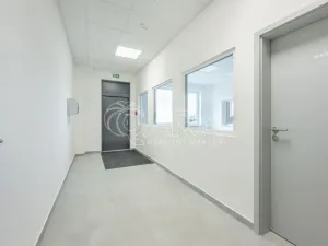 Pronájem skladu, Divišov, 2922 m2