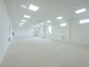 Pronájem skladu, Divišov, 2922 m2