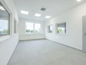 Pronájem skladu, Divišov, 2704 m2