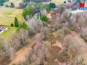 Prodej rybníku, Dvory nad Lužnicí, 8649 m2