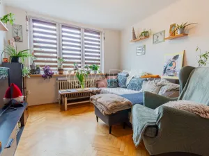 Prodej bytu 2+1, Písek - Budějovické Předměstí, Budějovická, 51 m2