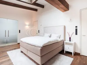 Pronájem bytu 5+kk, Praha - Nové Město, Truhlářská, 335 m2