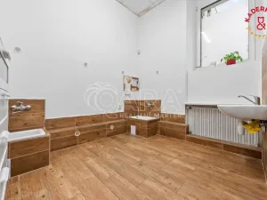 Prodej obchodního prostoru, Brno, Lidická, 153 m2