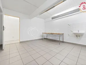 Prodej obchodního prostoru, Brno, Lidická, 172 m2