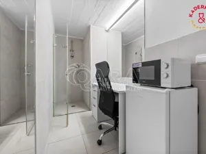 Prodej obchodního prostoru, Brno, Lidická, 172 m2