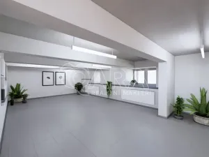 Prodej obchodního prostoru, Brno, Lidická, 326 m2