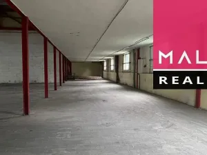 Pronájem skladu, Aš, 8243 m2