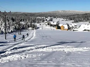 Prodej rodinného domu, Kořenov - Polubný, 150 m2