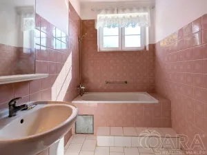 Prodej rodinného domu, Dřevěnice - Dolánky, 205 m2