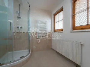 Pronájem bytu 2+kk, Mladá Boleslav - Mladá Boleslav I, Vodkova, 55 m2