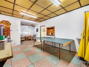 Prodej komerční nemovitosti, Česká Skalice - Spyta, 392 m2