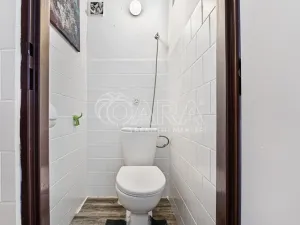 Prodej komerční nemovitosti, Česká Skalice - Spyta, 392 m2