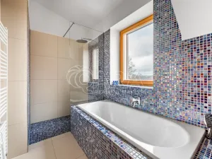 Pronájem vily, Roztoky, Nad vinicemi, 393 m2