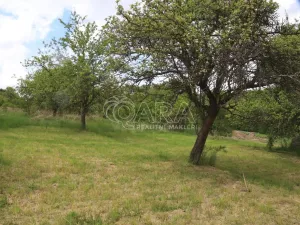 Prodej pozemku pro bydlení, Vyškov - Rychtářov, 911 m2